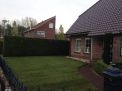 Nieuw Buinen